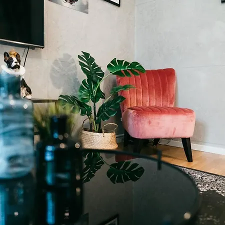 Daire Luxury Downtown Mit Garage Graz