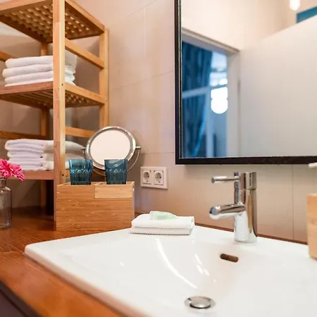 Apartment Luxury Downtown Mit Garage Graz