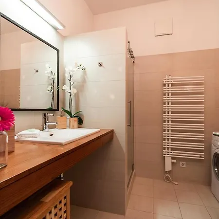 Luxury Downtown Mit Garage Graz