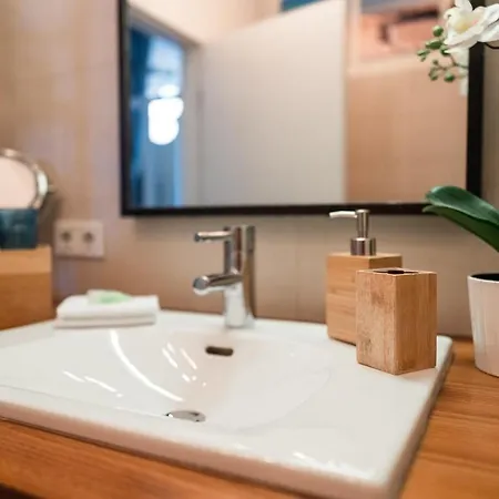 Luxury Downtown Mit Garage Daire Graz