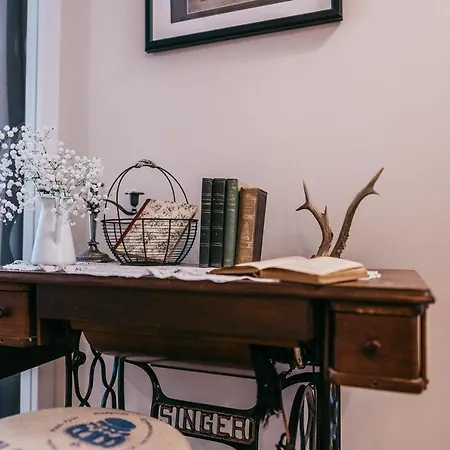 Luxury Downtown Mit Garage Graz