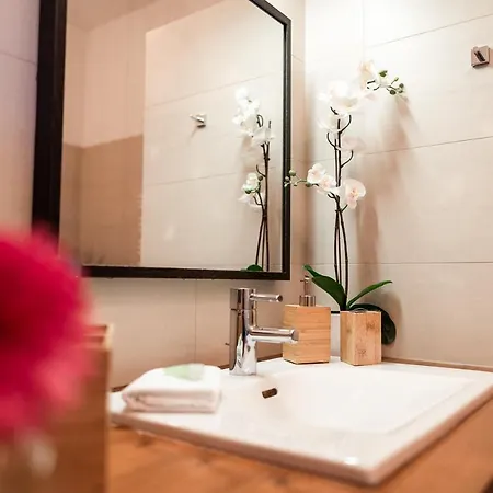 Luxury Downtown Mit Garage Apartment